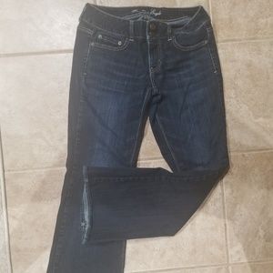 🌸A.E. Artist Denim